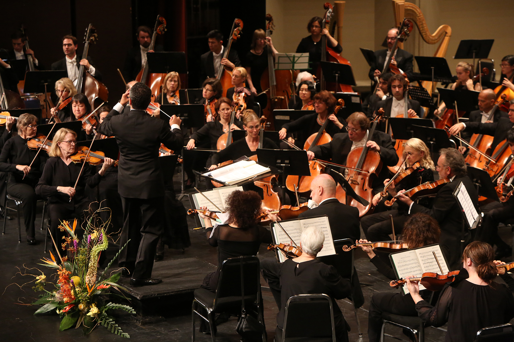 Sacramento Philharmonic Seating Chart